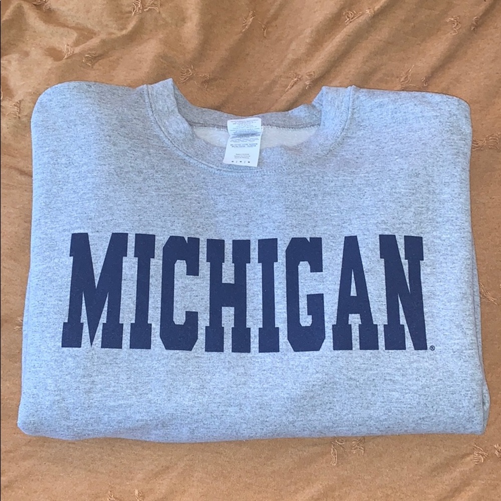 Grey Michigan crewneck